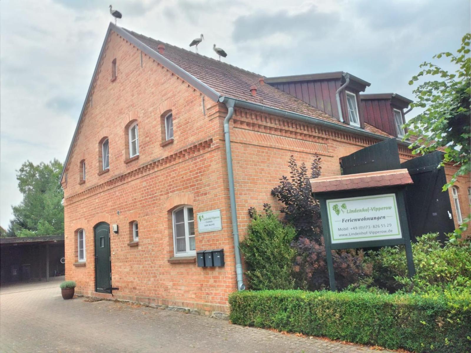 Lindenhof, Wohnung 1, Giebel Vipperow Bagian luar foto